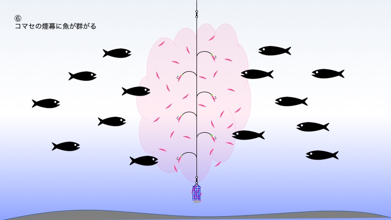 図：工程6 コマセの煙幕に魚が集まる